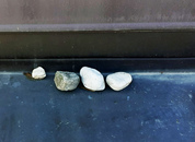 bild_klein_20453.jpg