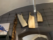 bild_klein_20697.jpg