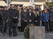 bild_klein_21698.jpg