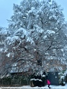 bild_klein_21744.jpg