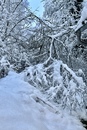 bild_klein_21745.jpg
