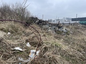 bild_klein_22416.jpg