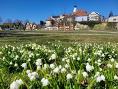 bild_klein_23590.jpg